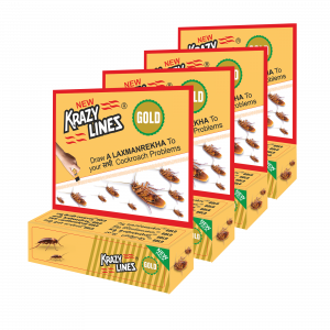 New Krazy lines Gold Pack of 4