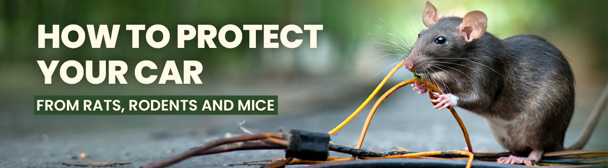 Laxman Ratpad gluepads